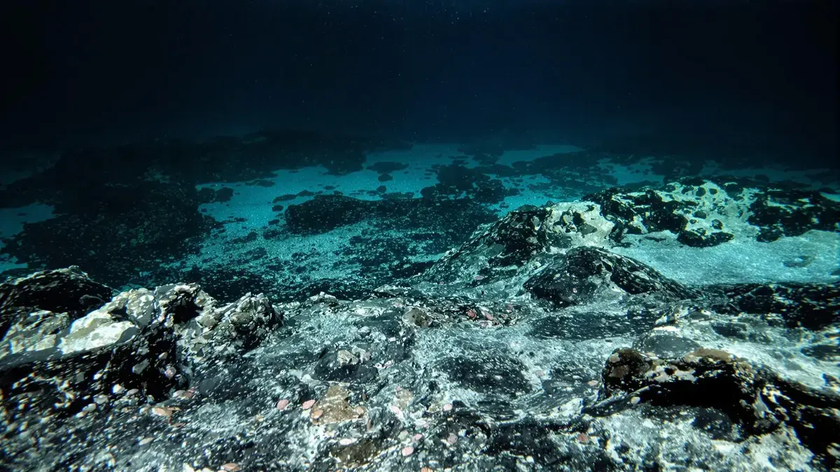 De Stille Oceaan, al beschadigd door een mijnbouwervaring in 1979, staat 44 jaar later voor desastreuze gevolgen